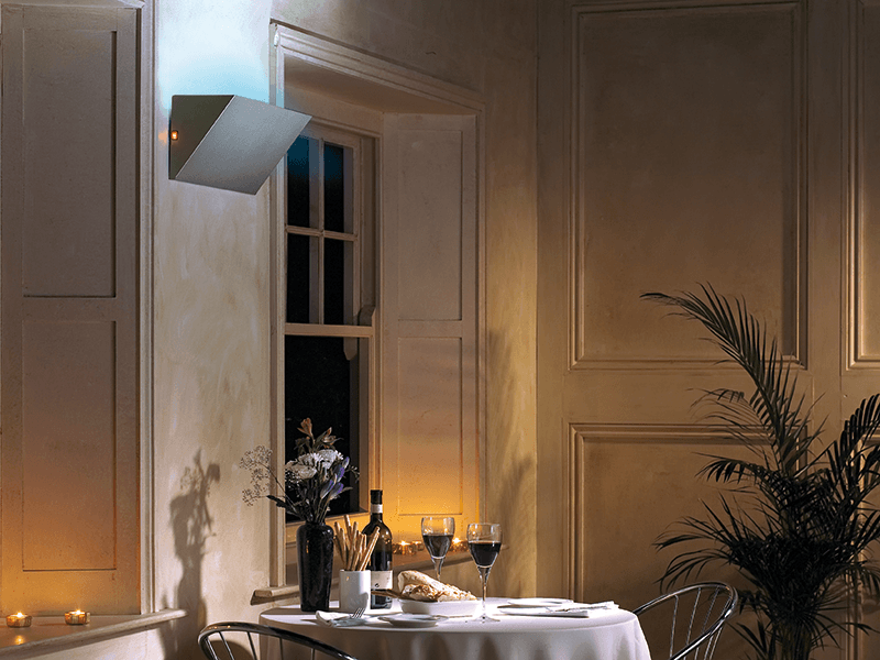 Chameleon_Uplight_situ